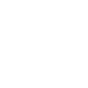 icon-support